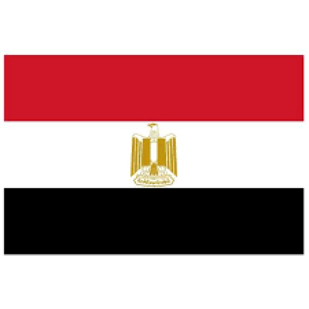 Egyptian Visa