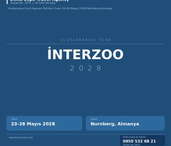 Nurnbergı Şehir Rehberi: İnterzoo 2028 Katılımcılarına Özel Öneriler